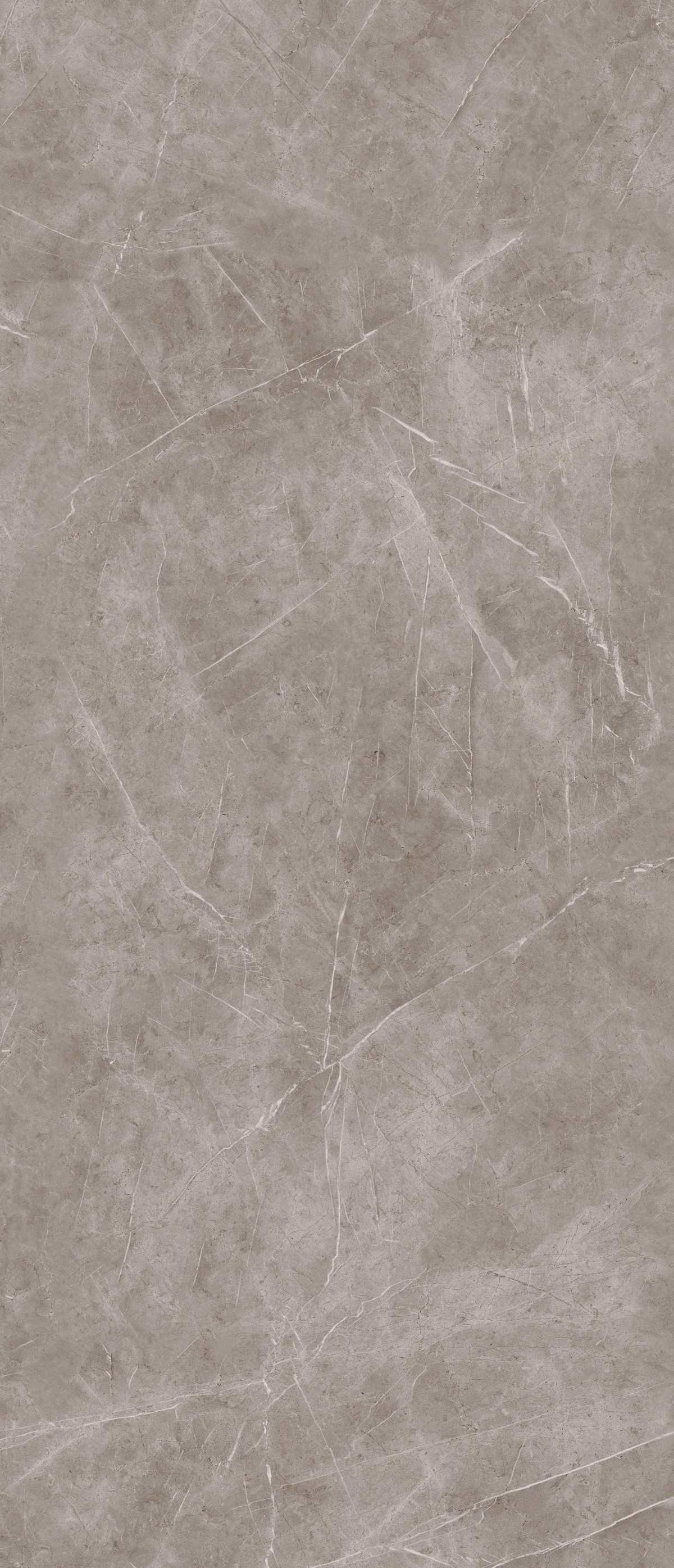 MARBLE VISION Grigio Chiaro 60x120